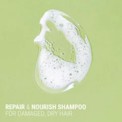 Korjaava shampoo Antipodes Fig + Feijoa Repair & Nourish Shampoo